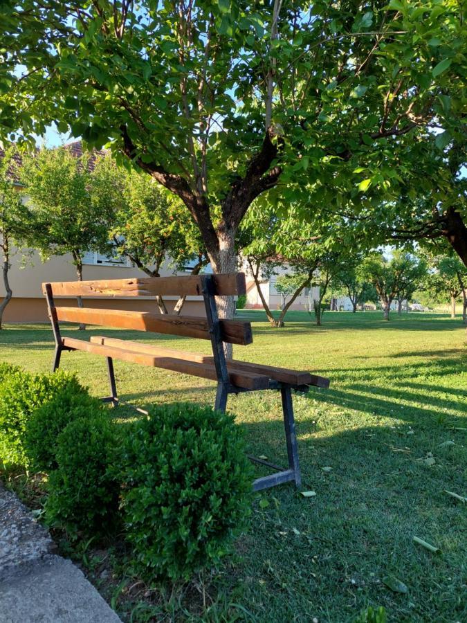 Apartment Helena Airport Podgorica Eksteriør billede