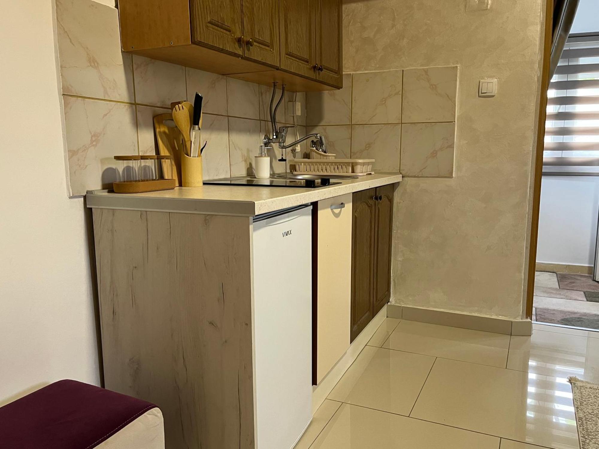 Apartment Helena Airport Podgorica Eksteriør billede